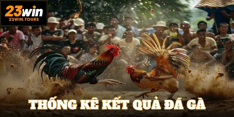 Hội viên chơi chọi kê cần xem xét lịch sử kết quả