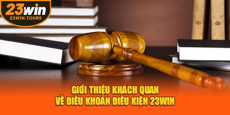 Khách hàng cần hiểu và chấp nhận quy định điều khoản điện kiện của 23Win